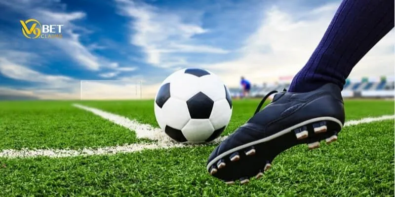 Cược rung - chiến thuật đánh kèo rung chỉ có thắng đậm 3 Hướng dẫn cách đọc kèo rung đơn giản