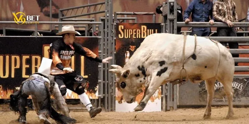 Super Bull -Kinh nghiệm chơi Super Bull chiến thắng đỉnh cao 3 Cách chơi Super Bull đơn giản từ cao thủ